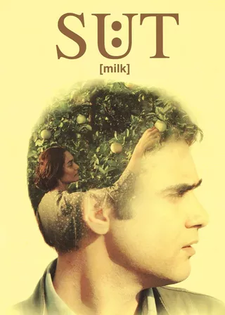 電影夏菲米克的時代的資料