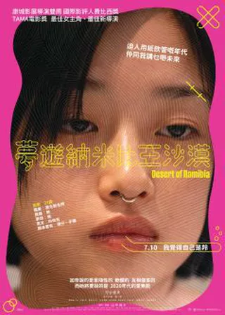 夢遊納米比亞沙漠 電影海報