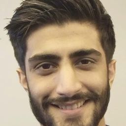 Kush Jotwani 飾演 Anand