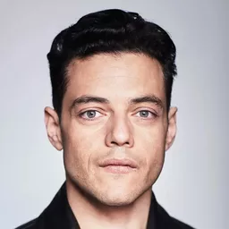 雷米馬利克 飾演 David Hill